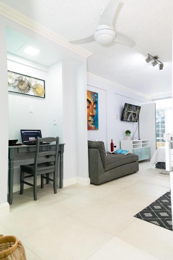 Choose To Be Happy At Seymour # 9 And #16 - Studio Apartments كينغستون المظهر الخارجي الصورة